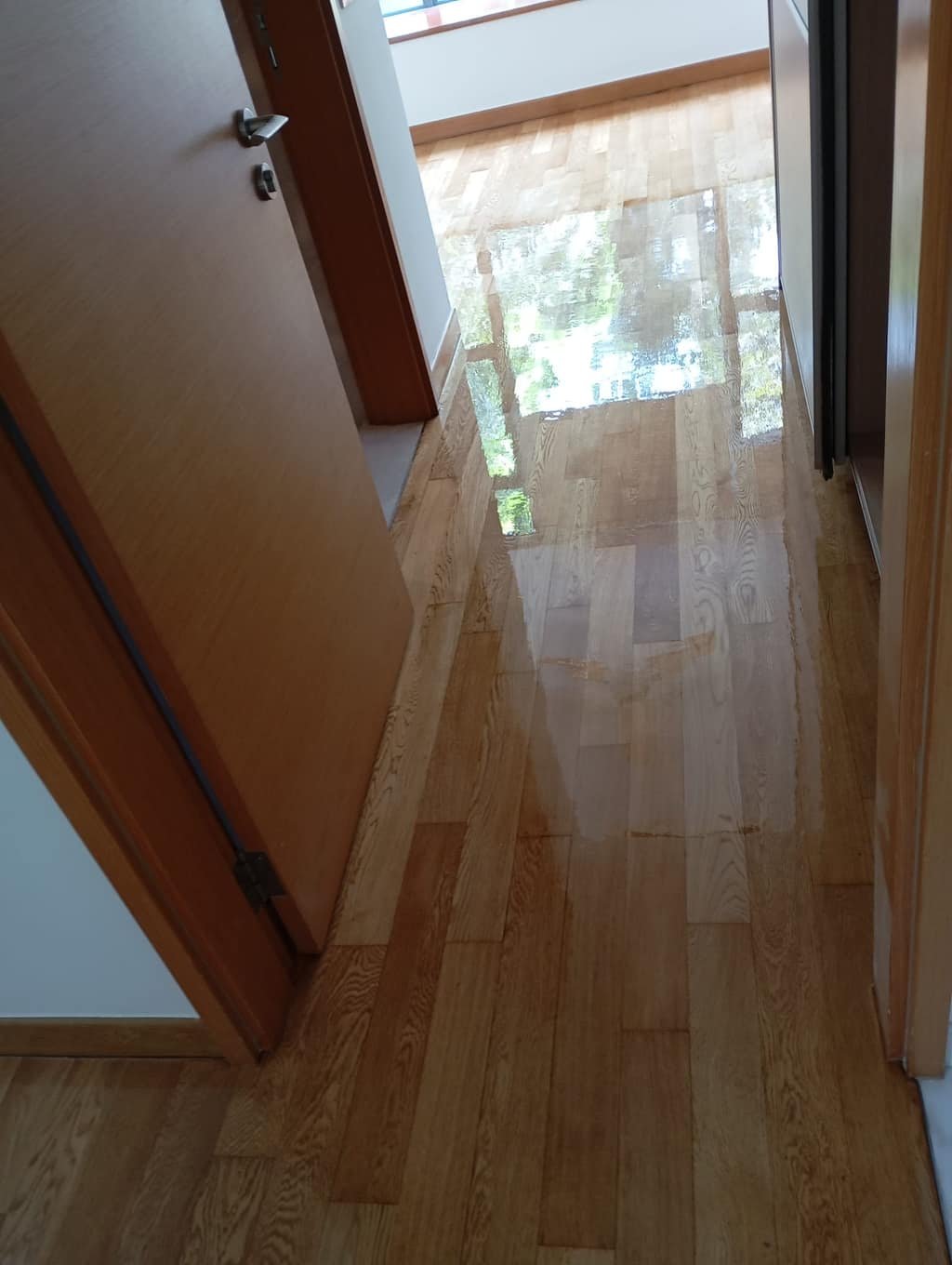 Professional parquet floor polishing